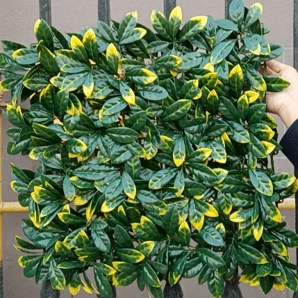 China Manufacturer for Artificial Grass Ball 60cm - Artificial Hedge Plant, Greenery Panels Suitable For Both Outdoor Or Indoor Use, Garden, Backyard Andor Home Decorations – Deyuan detail pictures