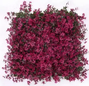 Artificial Flowers Boxwood Grass 50*50cm Garden Backyard Fence Greenery Wall Decor Backdrop Panels Topiary Hedge Plant
