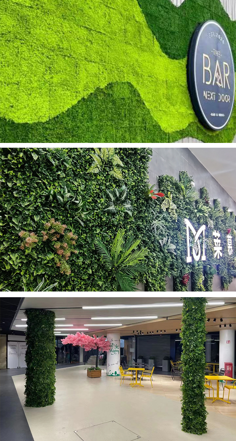xiangqing-6
