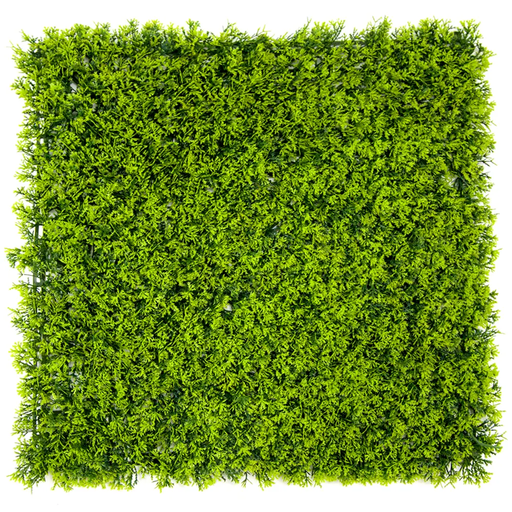 WHDY Customized artificial green wall panel boxwood foliage 50*50cm DIY for indoor outdoor decoration Featured Image