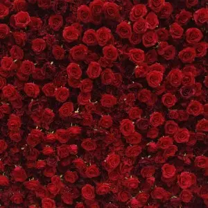Summer flowers wall artificial white rose 3d hydrangea flower wall backdrop for wedding event stage decoration