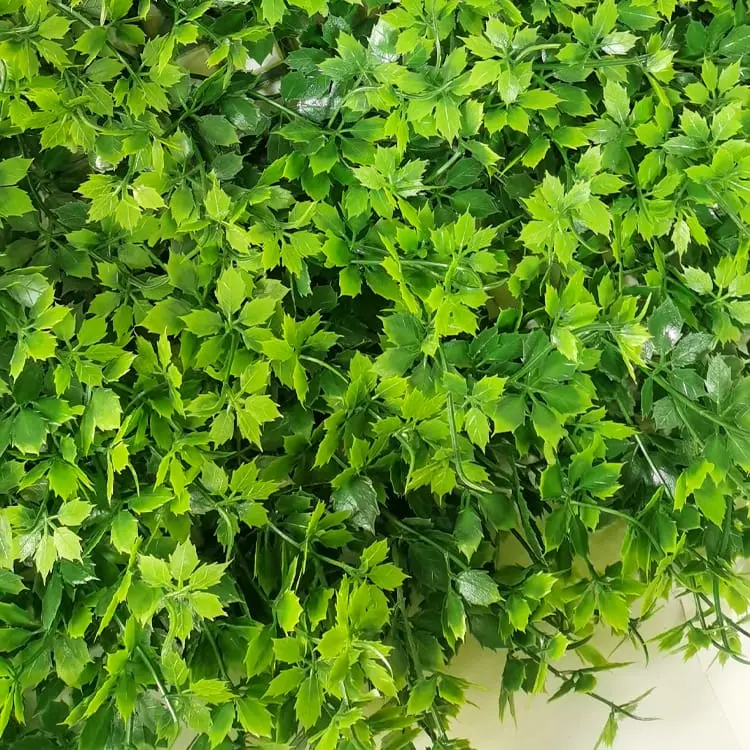 Artificial Grass Panel - Artificial Greenery Boxwood, Privacy Fence Screen Faux Plant, UV Resistant Topiary Hedge – Deyuan detail pictures