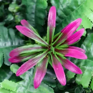 Artificial green plant artificial walls custom and green flower wall artificial wall plant panel