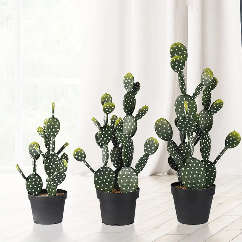 Tropical desert green plants indoor plastic plant artificial succulent cactus plants with potted for home decor Featured Image